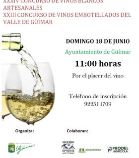 XXXIV Concurso de Vinos Artesanales Valle de Güímar y XXIII Concurso de Vinos Embotellados. · foto 1