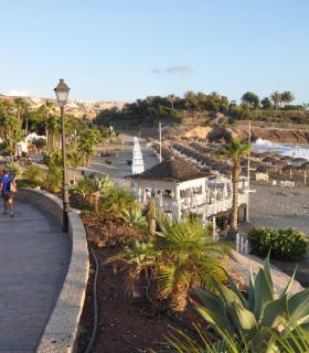 Costa Adeje sigue buscando soluciones para la gestión eficiente y respetuosa con el medio ambiente. · foto 4
