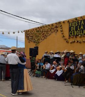 Piso Firme presume de cebollas en la vigésima edición de esta fiesta popular en Gáldar. · foto 10