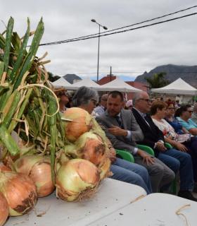 Piso Firme presume de cebollas en la vigésima edición de esta fiesta popular en Gáldar. · foto 4