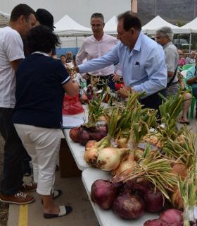 Piso Firme presume de cebollas en la vigésima edición de esta fiesta popular en Gáldar. · foto 11