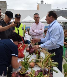 Piso Firme presume de cebollas en la vigésima edición de esta fiesta popular en Gáldar. · foto 12