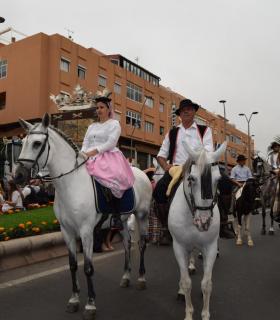 Gáldar celebró con devoción su Romería en honor a Santiago. · foto 6