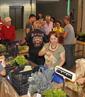 Éxito de ventas en la Feria Tacoronte Ecológico que se inauguró ayer en el Mercado Municipal. · foto 2