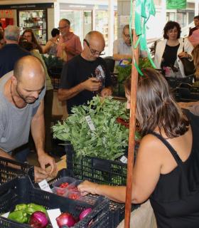 Éxito de ventas en la Feria Tacoronte Ecológico que se inauguró ayer en el Mercado Municipal. · foto 1