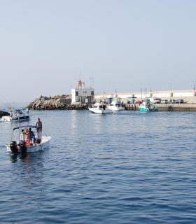 Arranca el XXXII Campeonato de Pesca de Altura de Puerto Rico en las aguas de Mogán. · foto 5