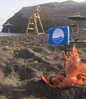 El maratón fotográfico de la playa de San Sebastián ya tiene a sus premiados. · foto 1