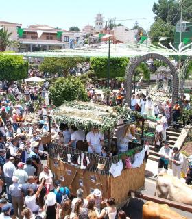 La asistencia de miles de magos confirma la buena salud de la romería de La Esperanza. · foto 2