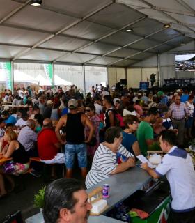 Más de 5.000 personas asisten al día grande de la 1ª Feria de Atún de Mogán. · foto 6