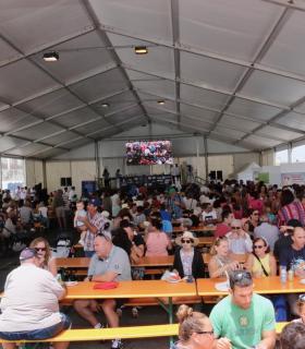 Más de 5.000 personas asisten al día grande de la 1ª Feria de Atún de Mogán. · foto 3