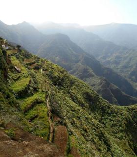El Cabildo de Tenerife destina 1,8 millones de euros para la mejora de los Parques Rurales de Anaga y Teno. · foto 1