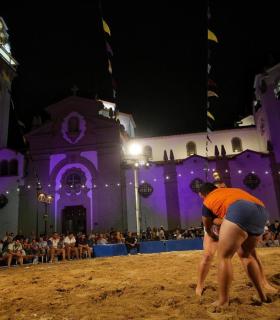 Candelaria: Dossier Luchada Institucional 2017. · foto 7