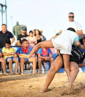 Candelaria: Dossier Luchada Institucional 2017. · foto 1