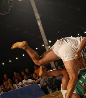 Candelaria: Dossier Luchada Institucional 2017. · foto 5