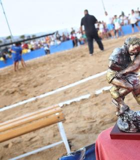 Candelaria: Dossier Luchada Institucional 2017. · foto 2