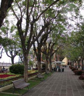El Ayuntamiento de La Orotava encarga el Plan Director de la Plaza de La Constitución. · foto 3