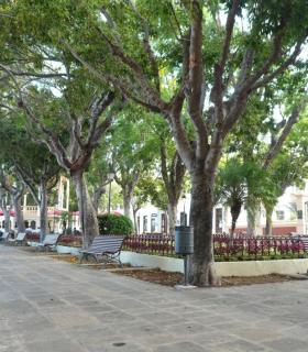 El Ayuntamiento de La Orotava encarga el Plan Director de la Plaza de La Constitución. · foto 4