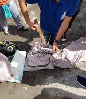 Telde: Los buceadores extraen cerca de 20 kilos de basura del fondo marino de Tufia. · foto 4