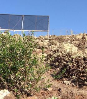 Los captadores de niebla del Cabildo de Fuerteventura recogieron en el último año más de 33.000 litros de agua. · foto 2