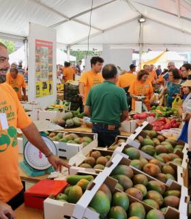 La 2ª Feria del Mango y Aguacate de Verano de Mogán atrae al municipio a más de 4.500 personas · foto 4