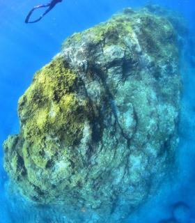 Abigail Martín y Yeray Delgado ganan el concurso de fotografía submarina Fotosub en el Festival del Mar de La Palma. · foto 2