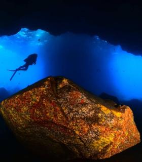 Abigail Martín y Yeray Delgado ganan el concurso de fotografía submarina Fotosub en el Festival del Mar de La Palma. · foto 5