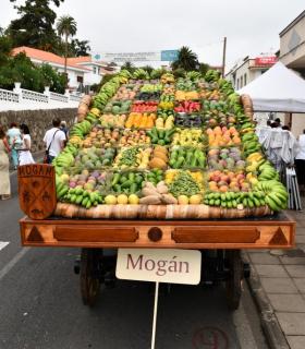 Mogán ofrece a la Virgen del Pino en Teror más de 1.000 kilos de fruta y más de 200 kilos de pescado. · foto 3