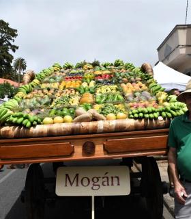 Mogán ofrece a la Virgen del Pino en Teror más de 1.000 kilos de fruta y más de 200 kilos de pescado. · foto 1