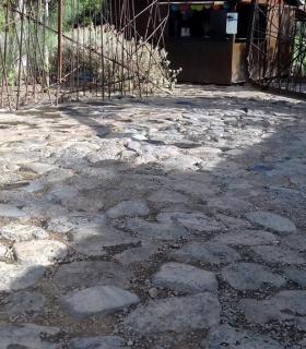 El Ayuntamiento de Icod de Los Vinos trabaja en un plan de actuación ante el estado de abandono del Parque del Drago. · foto 4