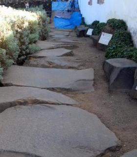 El Ayuntamiento de Icod de Los Vinos trabaja en un plan de actuación ante el estado de abandono del Parque del Drago. · foto 2