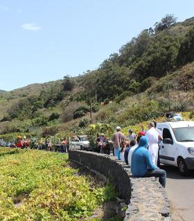 Tegueste celebra su vendimia y bendice sus viñedos. · foto 6
