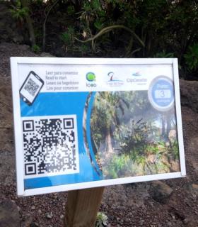 El Ayuntamiento de Icod de Los Vinos pone en marcha la videoguía turística del Parque del Drago. · foto 5