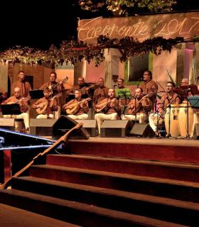 Gala de la Vendimia 2017. Fiestas del Cristo de Tacoronte · foto 41