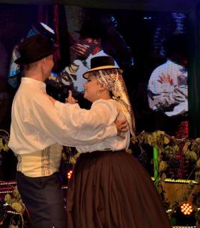 Gala de la Vendimia 2017. Fiestas del Cristo de Tacoronte · foto 14