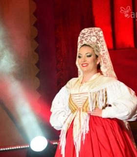 Gala de la Vendimia 2017. Fiestas del Cristo de Tacoronte · foto 73