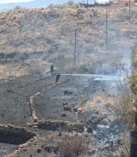Perimetrado y controlado el incendio de Candelaria en el día de ayer. · foto 1