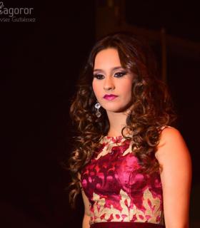 Gala de Elección de la Reina Adulta de El Rosario 2017 · foto 9