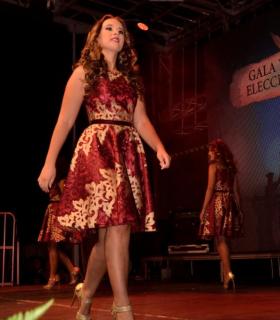 Gala de Elección de la Reina Adulta de El Rosario 2017 · foto 17