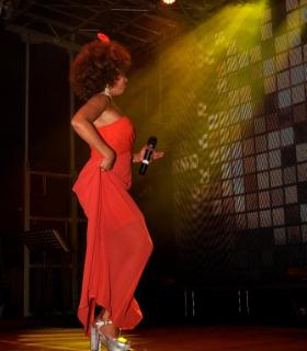 Gala de Elección de la Reina Adulta de El Rosario 2017 · foto 60