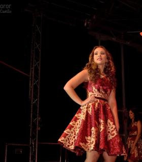Gala de Elección de la Reina Adulta de El Rosario 2017 · foto 15