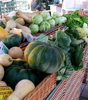 XIII Aniversario del Mercadillo del Agricultor de Güímar, este domingo, 1 de octubre. · foto 3