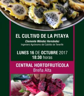 El Cabildo organiza un curso dedicado al cultivo y manejo agronómico de la pitaya. · foto 1