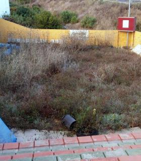 El Ayuntamiento de Icod de Los Vinos recupera del abandono el terrero de lucha canaria municipal. · foto 2