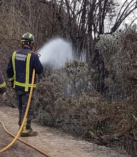 A esta hora de la tarde se encuentra extiguido el conato de incendio en Agua García (Tacoronte). · foto 3