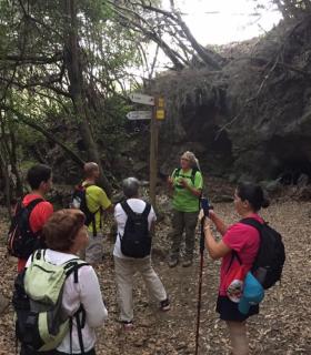 Un millar de personas disfrutaron de las rutas y actividades del Festival Internacional de Senderismo y Montaña de La Palma. · foto 4