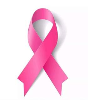 El Ayuntamiento de Las Palmas de Gran Canaria se tiñe de rosa para pedir más concienciación ante el cáncer de mama. · foto 4