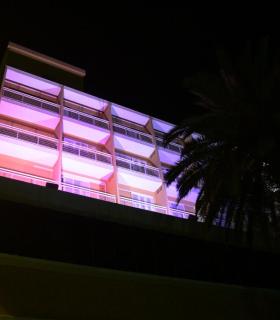 El Ayuntamiento de Las Palmas de Gran Canaria se tiñe de rosa para pedir más concienciación ante el cáncer de mama. · foto 1