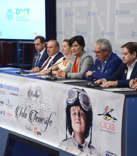 El Cabildo acoge la presentación del XLIII Rallye Orvecame Isla Tenerife Trofeo TGAS. · foto 1