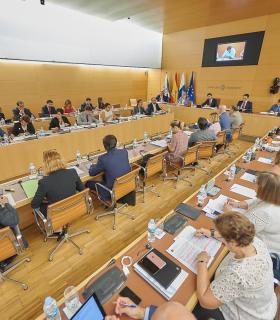 El Cabildo de Tenerife respalda al Gobierno de España en la adopción de medidas que restauren la legalidad en Cataluña. · foto 2