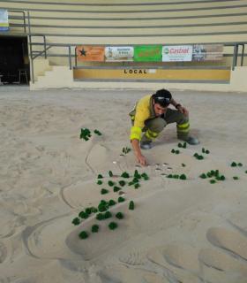 La Consejería de Emergencias del Cabildo Insular de La Palma organiza un simulacro real de emergencia sobre una maqueta. · foto 3
